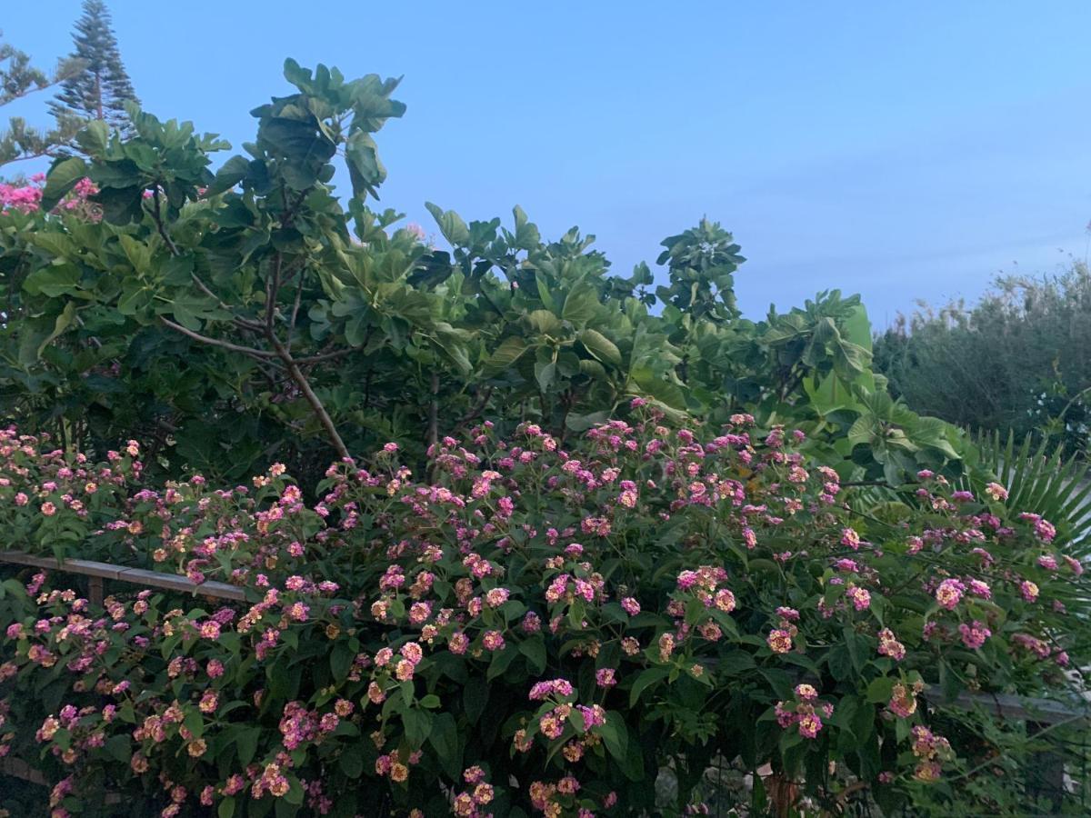 Villa Morgana Menfi Dış mekan fotoğraf